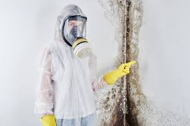 Best Forensic Mold Investigation  in Sloatsburg, NY